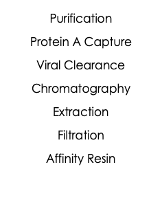  Purification Protein A Capture Viral Clearance Chromatography Extraction Filtration Affinity Resin 